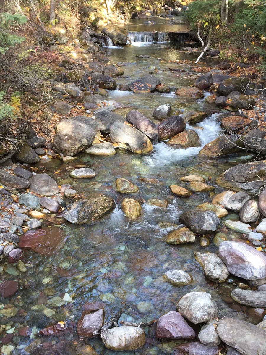 MackerGreg's tweet photo. Beautiful fall colors in Montana. https://t.co/BIBVrTaApO