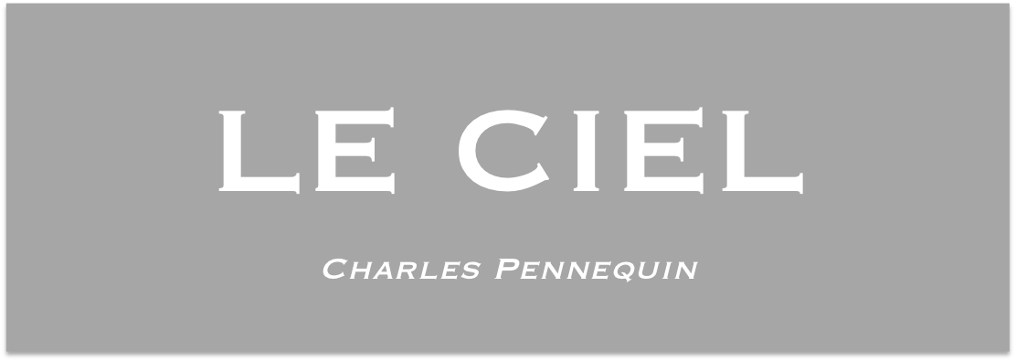 revuepost's tweet photo. Bientôt dans notre 1er no: LE CIEL de @cha_pennequin auteur publié @editionsaldante @editionsPOL L'Âne qui butine, etc. #teaserweek #poésie https://t.co/jAuAHgZxBU