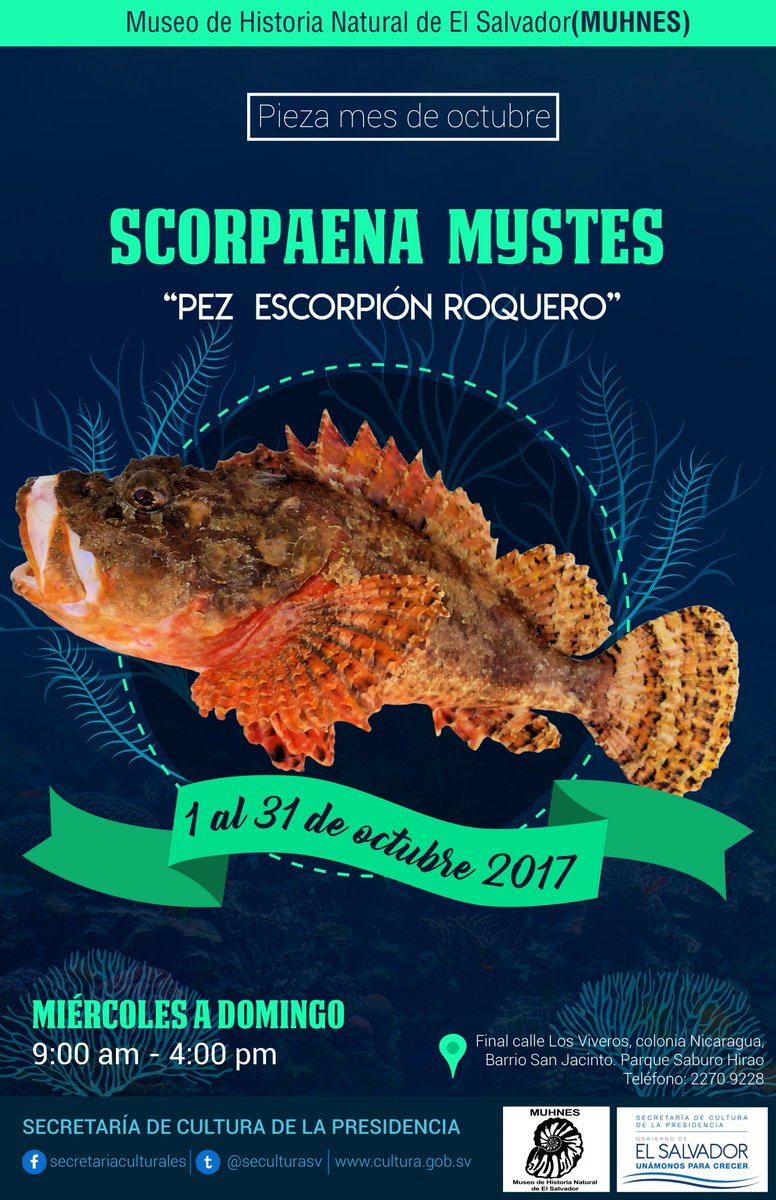 culturasv's tweet photo. Ven y conoce  la pieza del mes de octubre,  en #MUHNES  de miércoles a domingo, de 9:00 am a 4:00 pm. https://t.co/sRyWJTlkpn