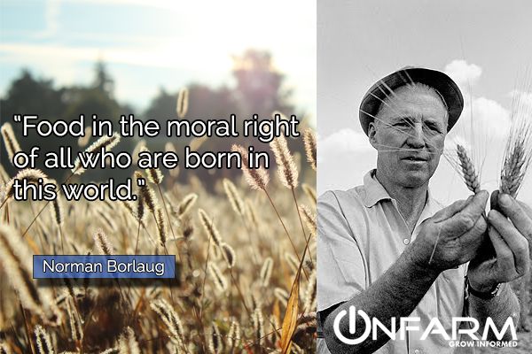 onfarm's tweet photo. Because it is our right, it is also our responsibility to #support our #farmers in their art of cultivation. https://t.co/Tm0c9ds9QR