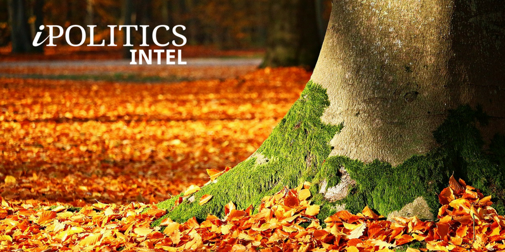 alpheusgroup's tweet photo. New season. New and improved #iPoliticsINTEL services. And a new Twitter account. Old and new friends, come follow us at: @iPolitics_INTEL. https://t.co/Se8nZKFa6x