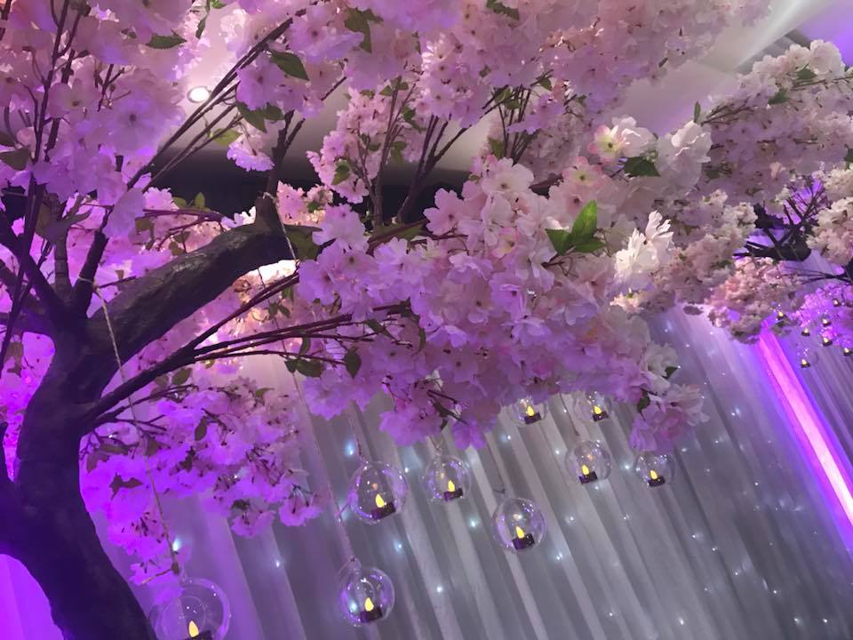 BrisbaneHouse's tweet photo. WEDDING OPEN DAY SUNDAY 29TH OCT 12 NOON UNTIL LATE AT BRISBANE BY THE SEA - The Kilted DJ will be dressing our venue that day..Blossom time https://t.co/SgPf81L0Oz
