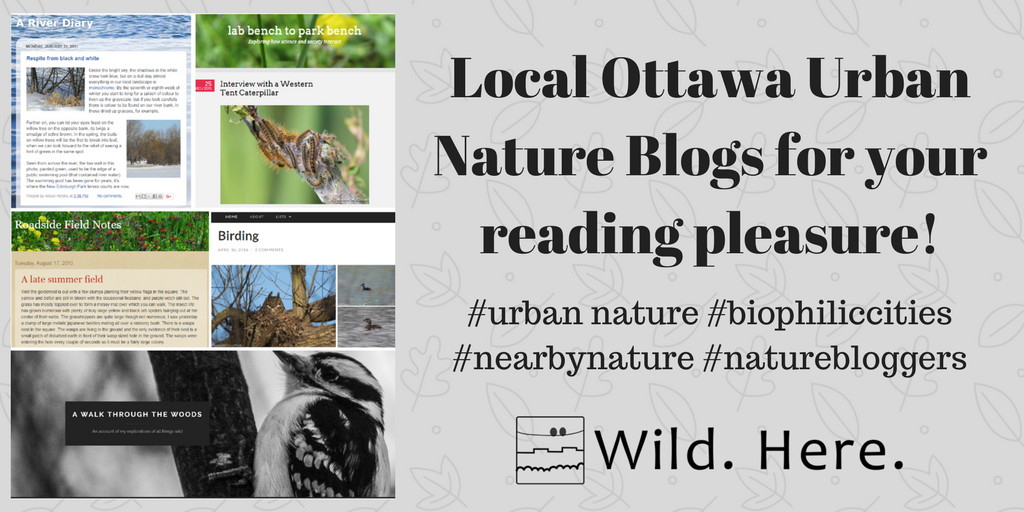 _WildHere's tweet photo. Check out these #Ottawa #Nature blogs w wonderful, insightful, educational &amp; some cheeky posts! #OttNature #biophilic #urbannature #WildHere https://t.co/C151hQNJfL
