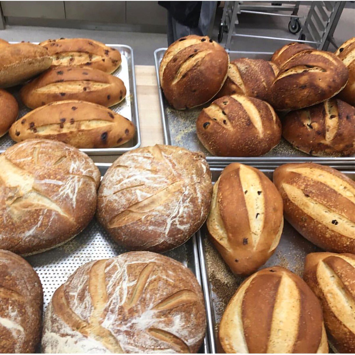Our #poughkeepsie Bakery has been busy churning out beautiful artisan breads. Come see what's baking today!