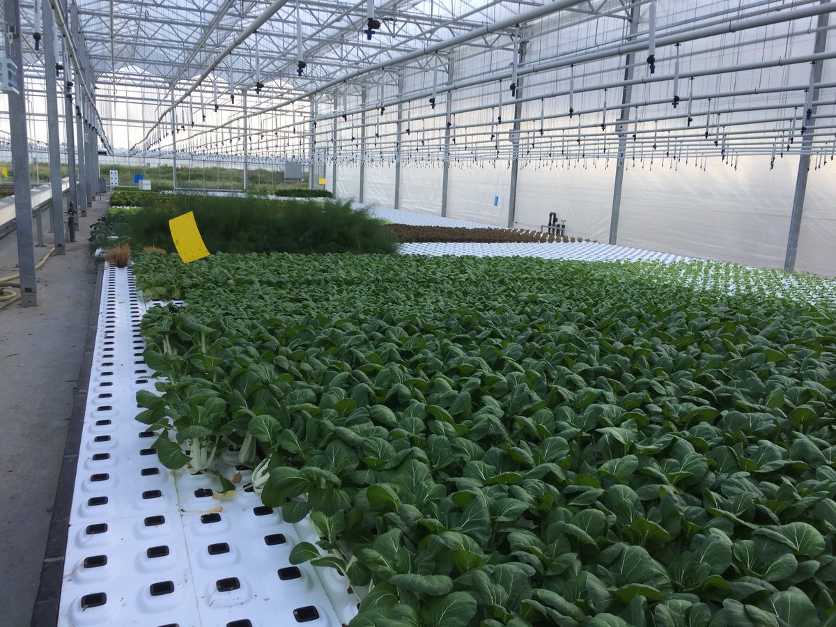 LarsKaim's tweet image. Interessante rondleiding en gesprek gehad bij @DeProefschuur mooi initiatief    @ABZuidHolland