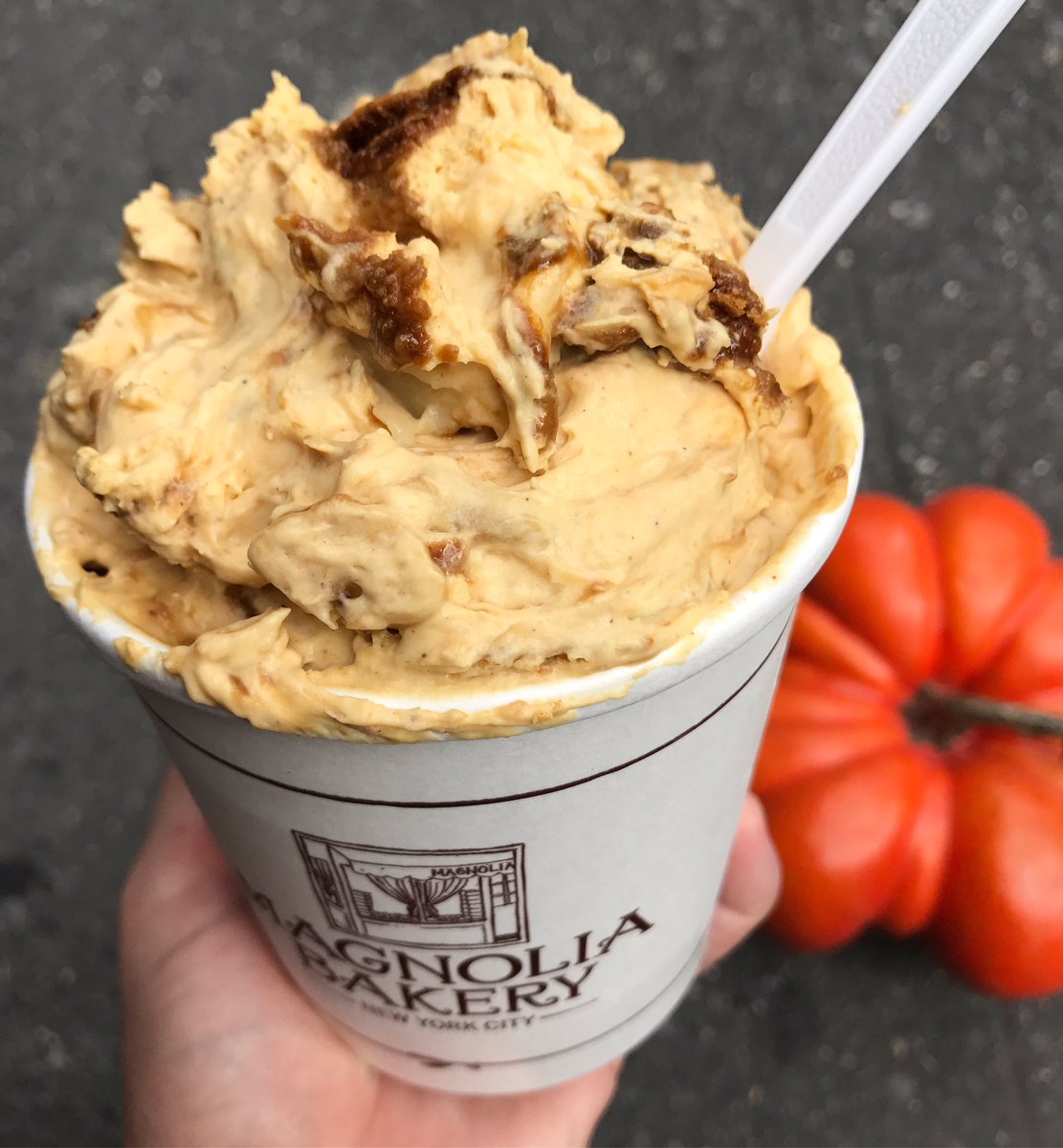 magnoliabakery's tweet photo. 🎃Surprise🍌!!! We are now serving PUMPKIN GINGERSNAP BANANA PUDDING until 11/30! Tell your friends! #magnoliabakery 🎃🍌 https://t.co/kH8aeCNyb3