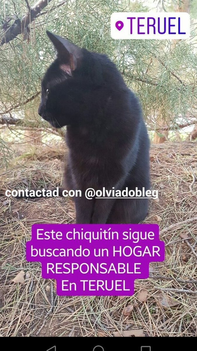 Otaku world (@otakuworld70) on Twitter photo 