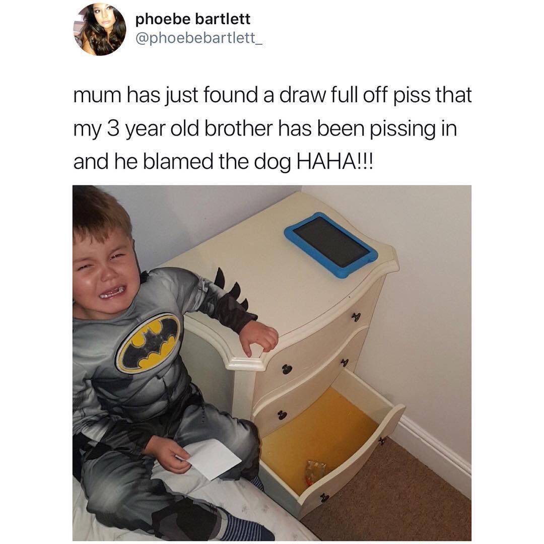 WORLDSTAR's tweet photo. Blamed it on the dog.. 😂💀 https://t.co/ym3gNBEO7w
