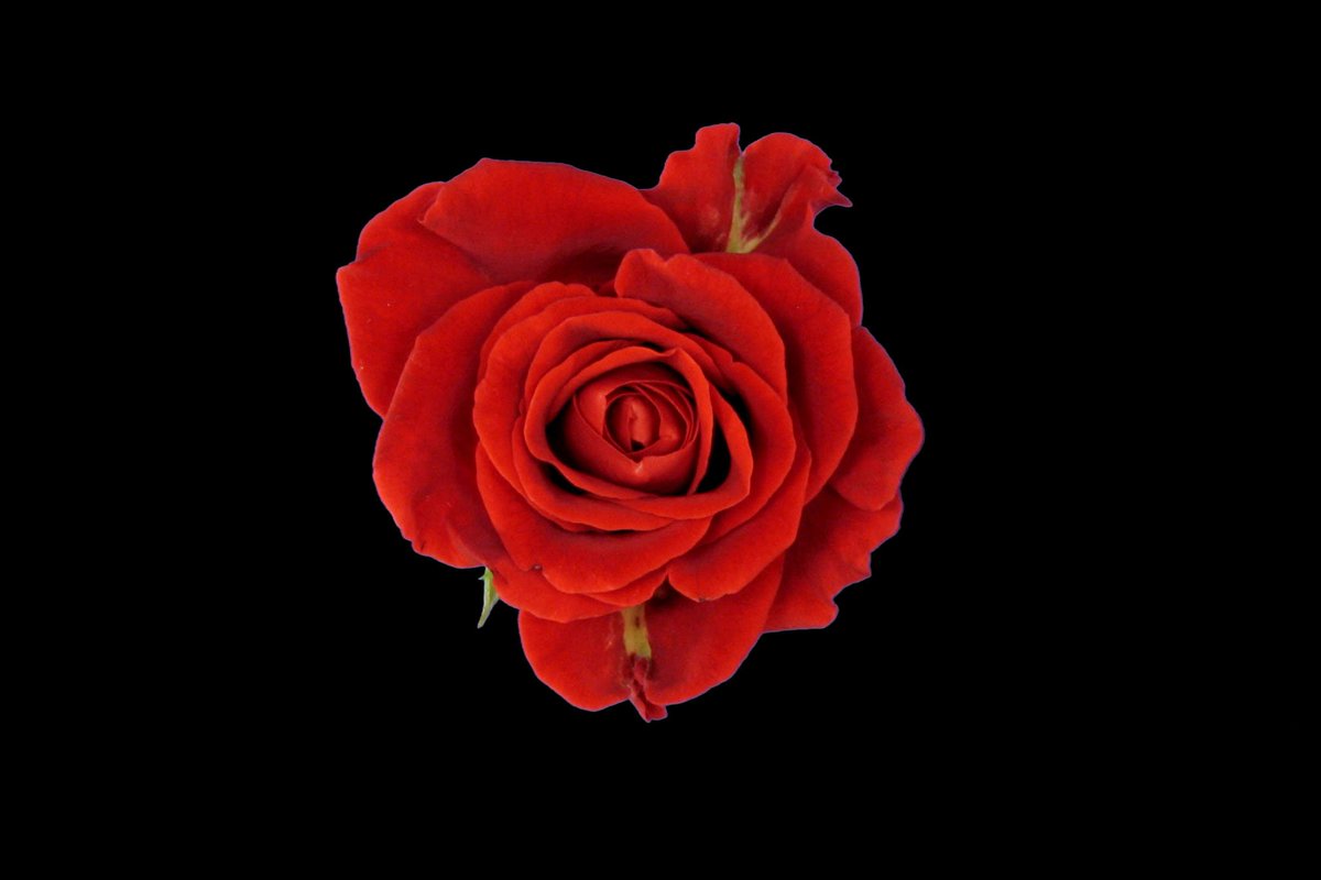 Inhalio, Inc. tweet media