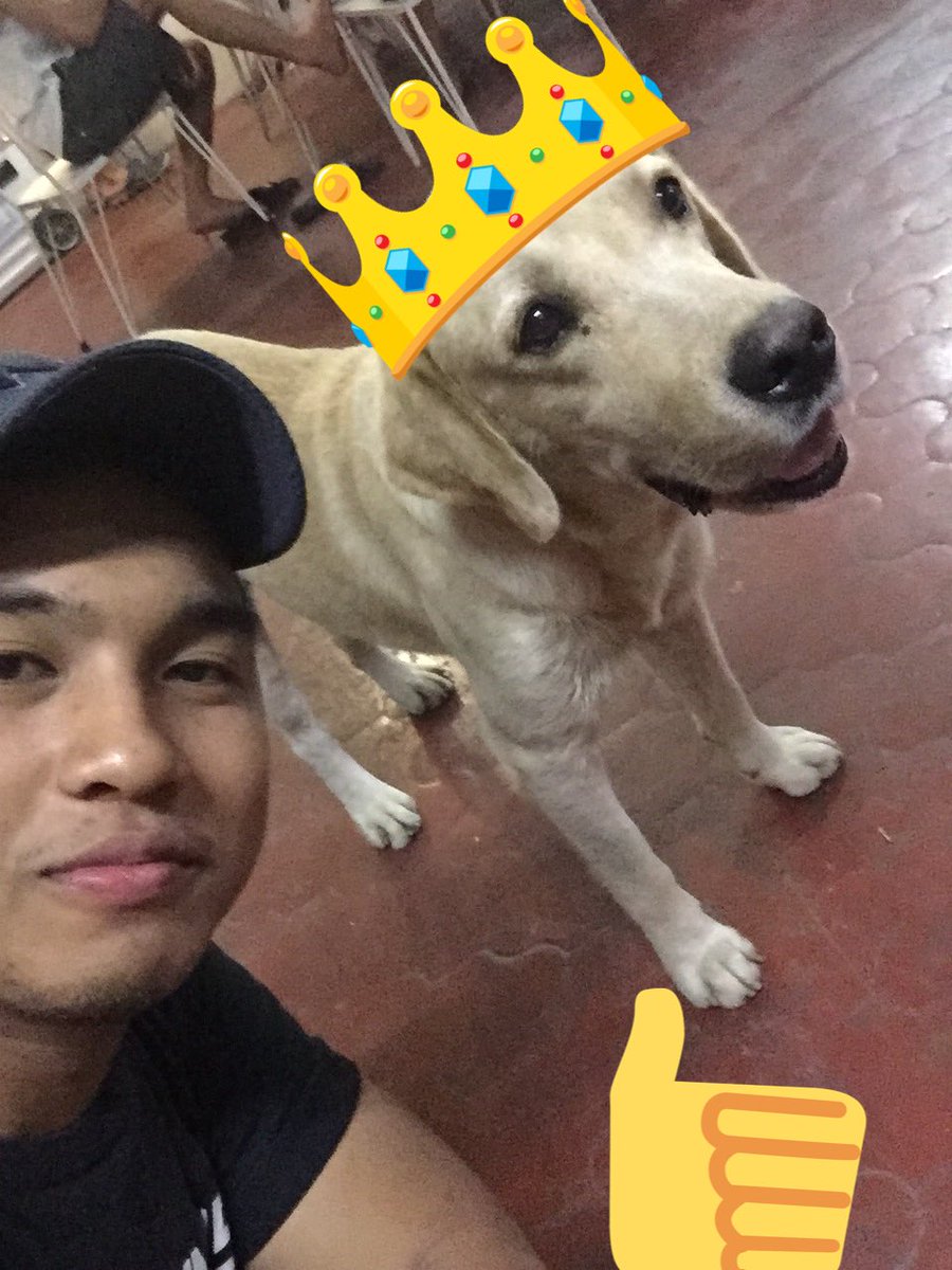 Meet my new friend..😘🐶😂😊🤗🤗