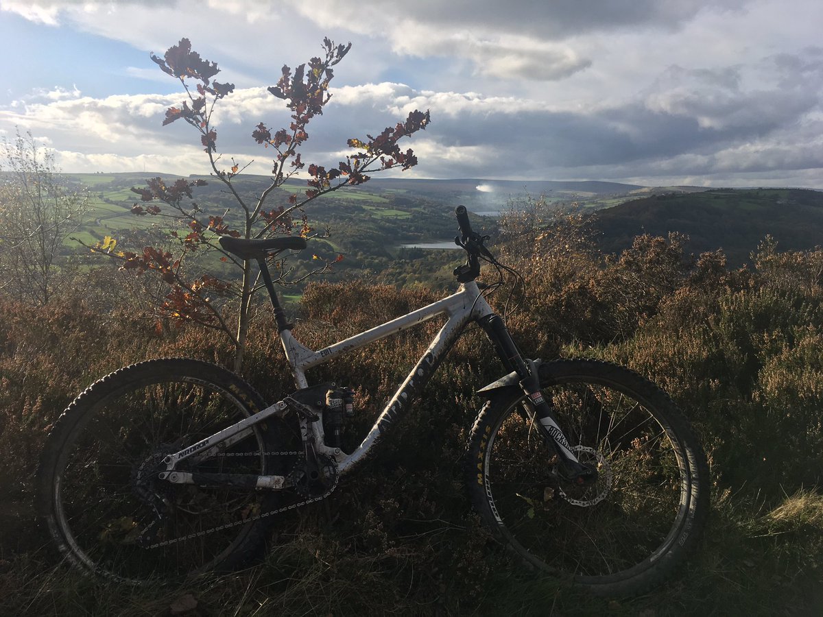 gorillaintpeak's tweet photo. @KoftheP Only a little greasy in Greno. Bit muddy in Wharney but grip there to be had. Branches all over fast track. Leaves everywhere! https://t.co/aeAQoFCBlb