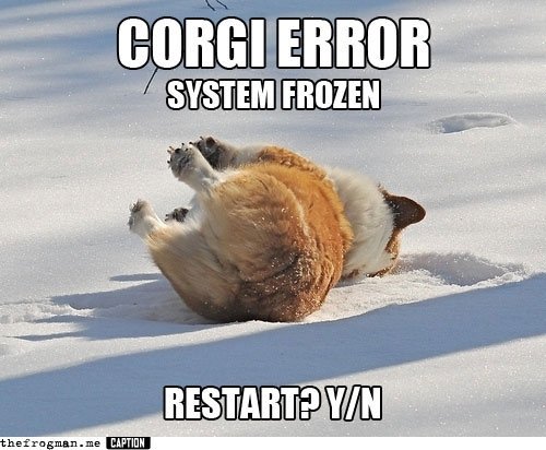 corgipuppie's tweet photo. https://t.co/mTrIOSB6EW https://t.co/IzvtaGDeaG