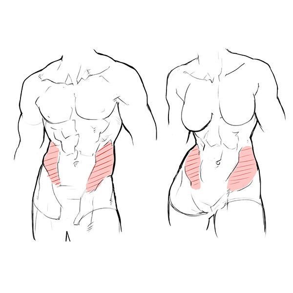 いちあっぷ By Mugenup クリエイティブ制作会社 描き分けてみよう 男女の体格差から学ぼう 筋肉質な女性の描き方 いちあっぷ T Co Uyyutprjd8 絵が上手くなる記事はコレ