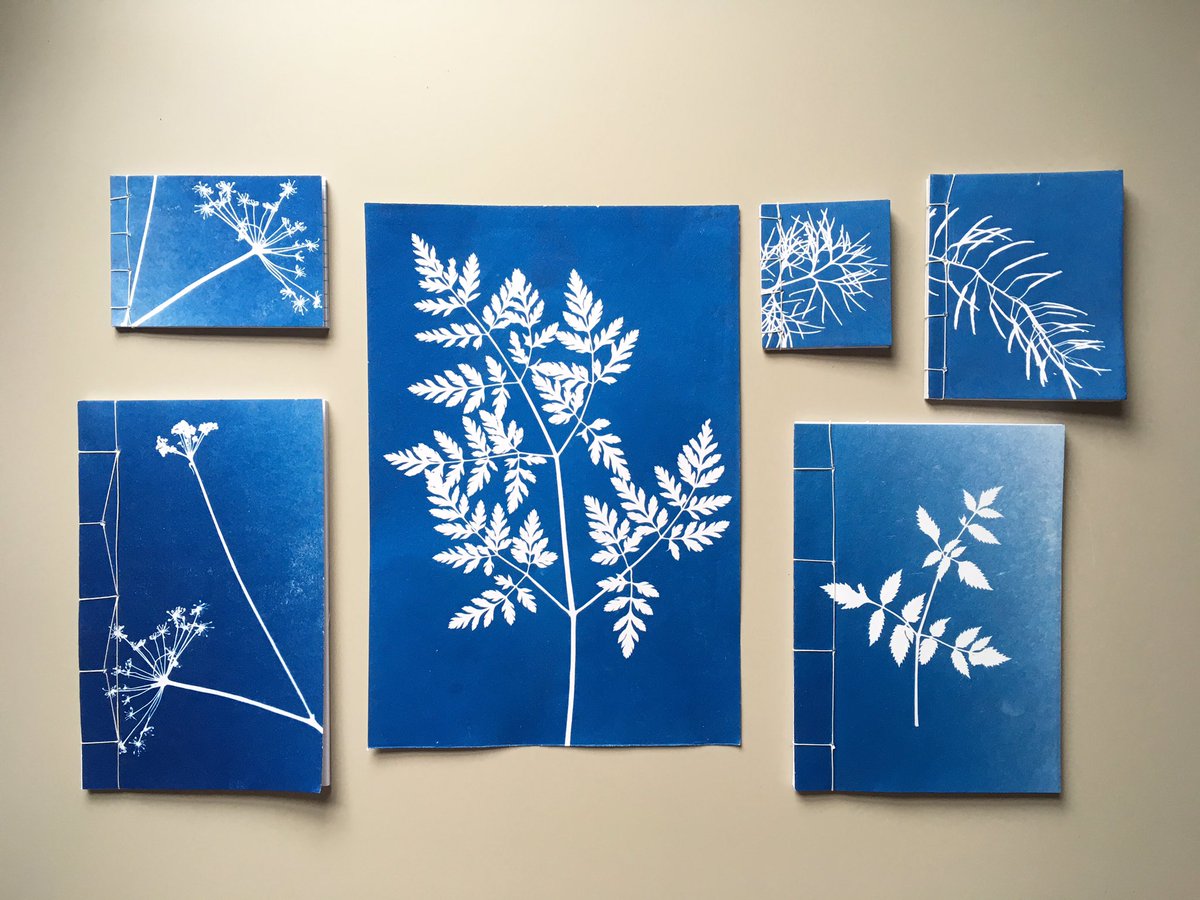 Another Cyanotype and Notebook making workshop coming up @exeter_phoenix this Saturday! Book here exeterphoenix.org.uk/events/cyanoty…
