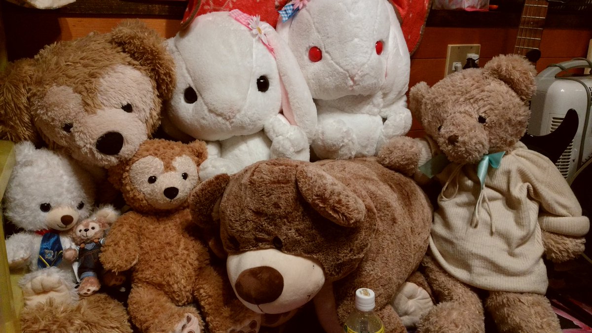 kitibuta1414's tweet photo. コストコで買ってきたくまさん！！
そして私の部屋のぬいぐるみ(´°v°)/んぴｯ https://t.co/kVK66xG2J5