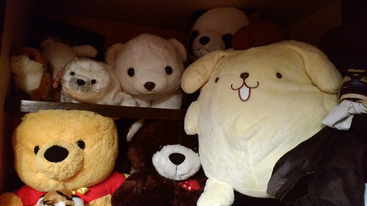 kitibuta1414's tweet photo. コストコで買ってきたくまさん！！
そして私の部屋のぬいぐるみ(´°v°)/んぴｯ https://t.co/kVK66xG2J5