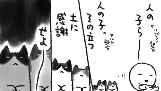 洗濯物を干しながら大地讃頌を歌ったときの猫の圧がすごい