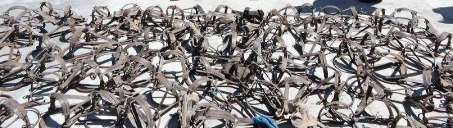 “Хавх булаагүй ууланд хамаг амьтан жаргалтай” аян 14340 амьтны амь аварчээ montsame.mn/read/69437   #МОНЦАМЭ #МонголМэдээ