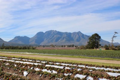 Heading down the Garden Route soon? Don't miss George! We love this list of things to do there by <a href="/Becomingyoublog/">Kathryn Rossiter</a> ow.ly/C1Mz30fTLQ2