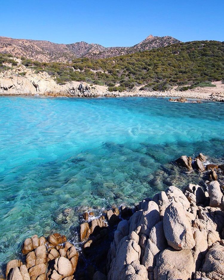 ele_tourism's tweet photo. #Perdalonga: colori del mare cristallini, luogo selvaggio, ricoperto di piante di lentisco, di cisto e di mirto.
📸Alessio Todde https://t.co/Fj4PDyy6J0