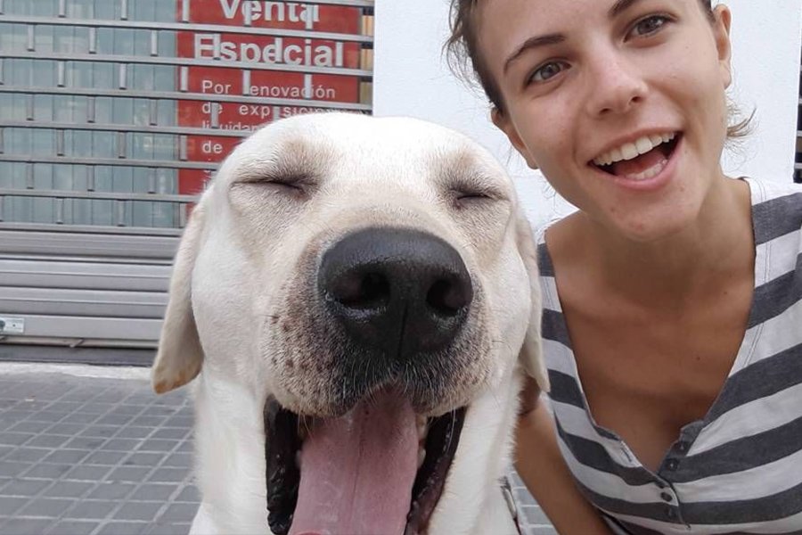 ¿Y​ ​qué​ ​hace​ ​mi​ ​perro​ ​cuando​ ​trabajo​ ​o​ ​me​ ​voy​ ​de​ ​vacaciones? 
goo.gl/2r8LY4 #mascotas felices