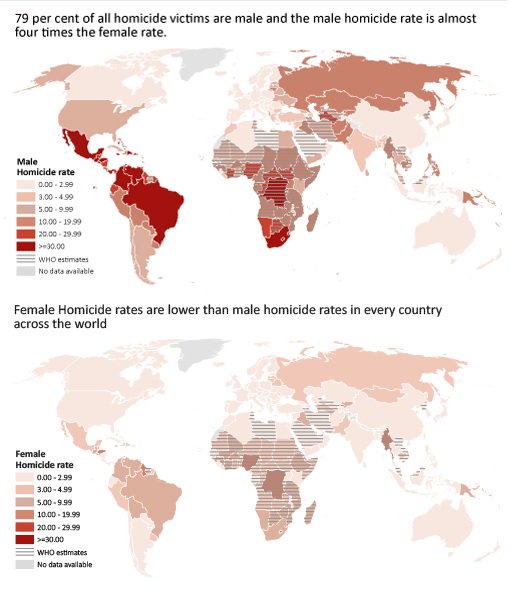 ExoplanetEvans's tweet photo. @radfemfatale If there's an "epidemic of violence against women," why do men constitute ~80% of homicide victims globally?
https://t.co/NgL1pEj55u https://t.co/sgzio7nwwJ