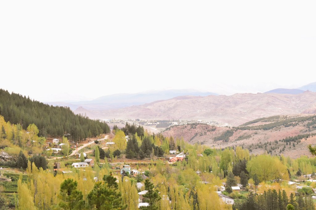 DoctorLammel's tweet photo. Buen dia desde Huingan co.
#PasionPorNeuquen 
@Chani_Sapag https://t.co/rhbe7OColc