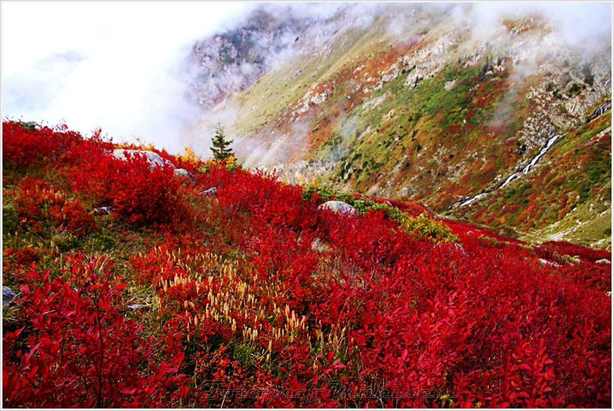 Yarabbi sen ne büyüksün, sen ne yücesin... Allahuekber