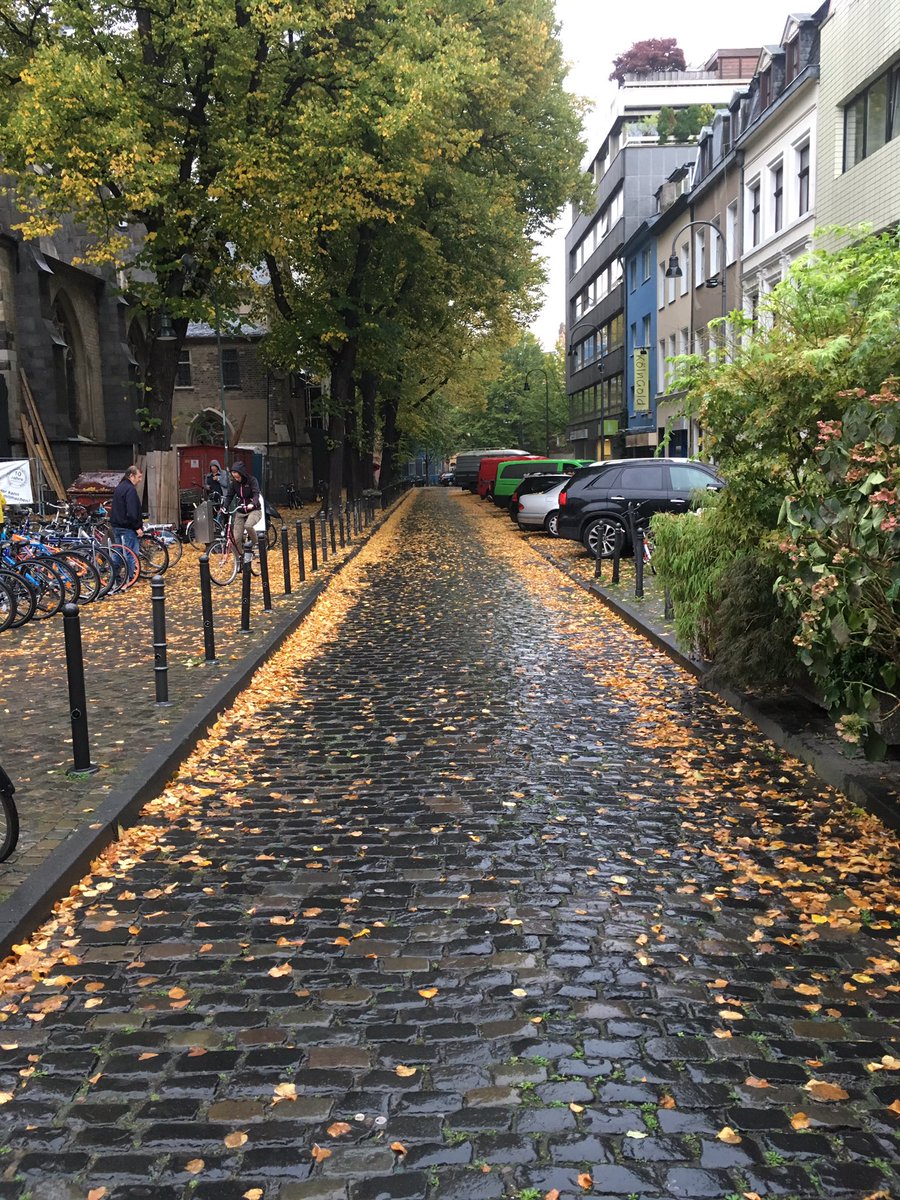gregdsims's tweet image. #Autumn in #Germany