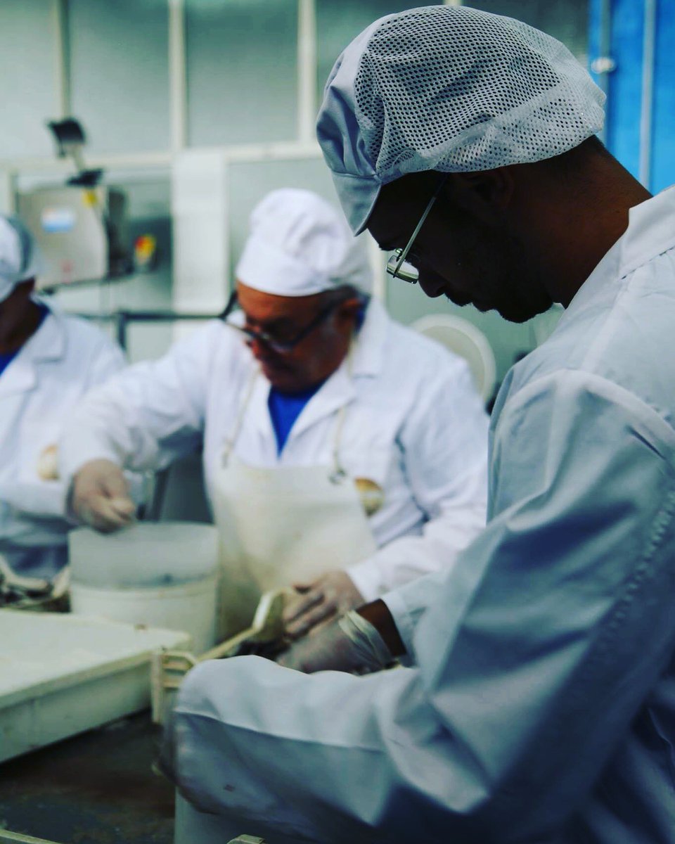 Testa Conserve tweet media