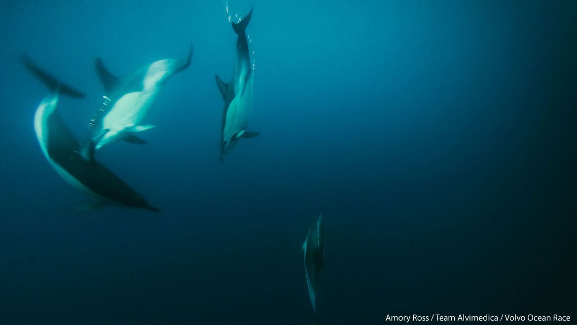 Musto becomes FIRST GLOBAL COMPANY to sign up to the <a href="/UNEP/">UN Environment Programme</a> #CleanSeas pledge! 🌊
Read more ➡️ bit.ly/Musto-UN-Pledge