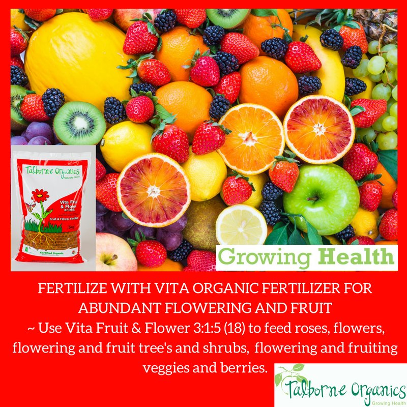 TheGardenerMag's tweet image. Growing Health with Talborne Organics!
#talborneorganics #growinghealth #thegardener
talborne.co.za