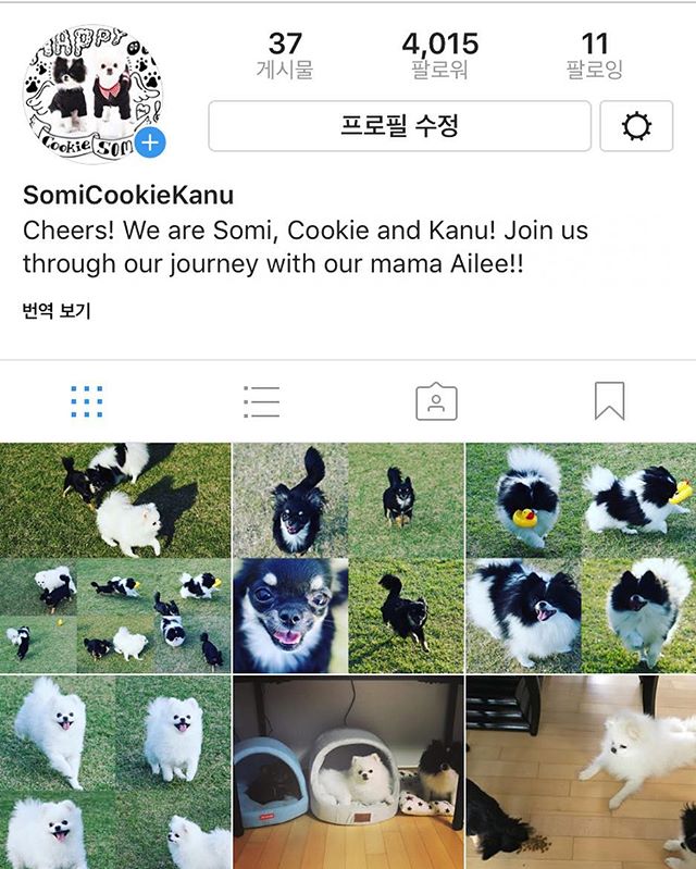 AileeSnaps's tweet photo. [AILEE INSTAGRAM] aileeonline: Follow @.somicookiekanu for cuteness overload 심... https://t.co/IJHGoNGmcX #kpopsnaps https://t.co/54Aynyk5l1