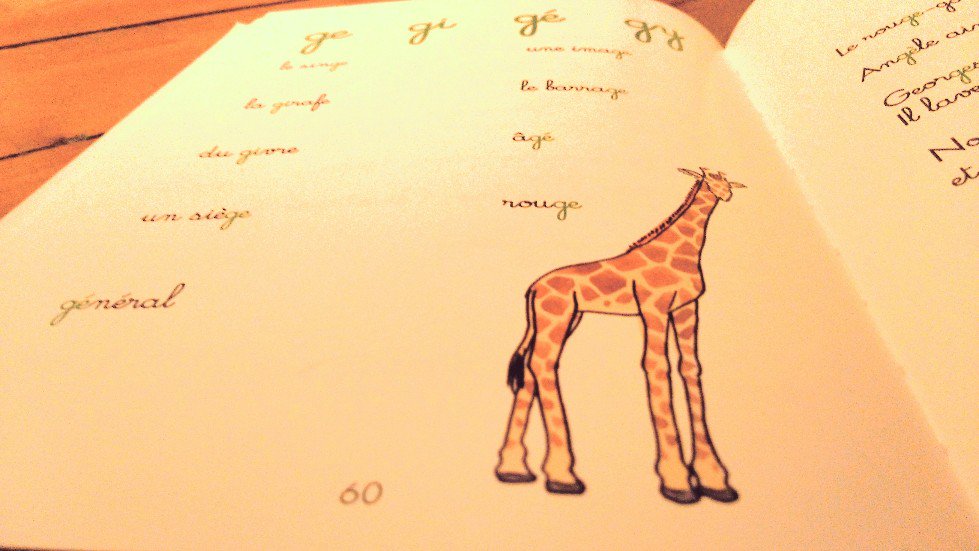 Pour les devoirs ou pour encourager les #jeuneslecteurs, sélection de livres pour #apprendreàlire #nosviesdemamans 
nosviesdemamans.com/pistes-de-livr…