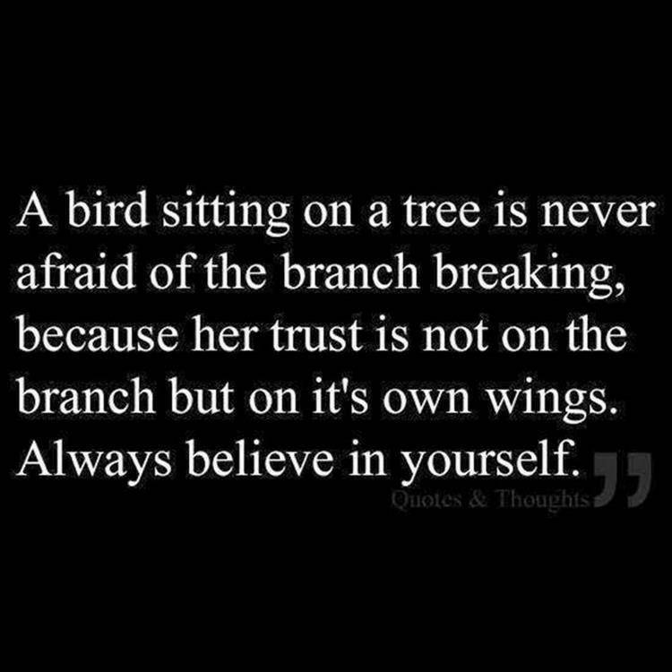 Coats4Canines's tweet photo. Always believe in yourself. 

#WednesdayWisdom #Believe #TrustYourself https://t.co/vUQ9BWiCy1