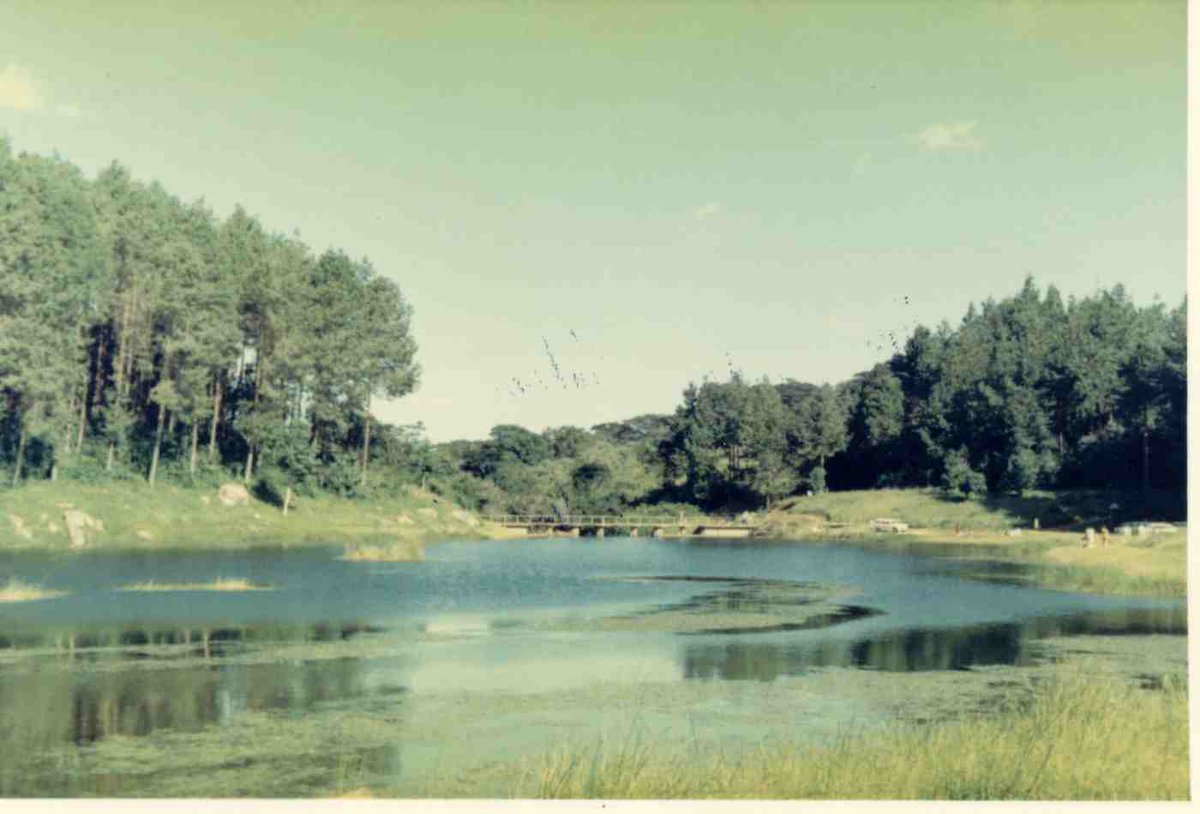 MBAULA_malawi's tweet photo. This what Malawi used to look like in 1970! #cleanercookstoves #2millby2020 #letsaveourforests https://t.co/v9TNsQxnyD