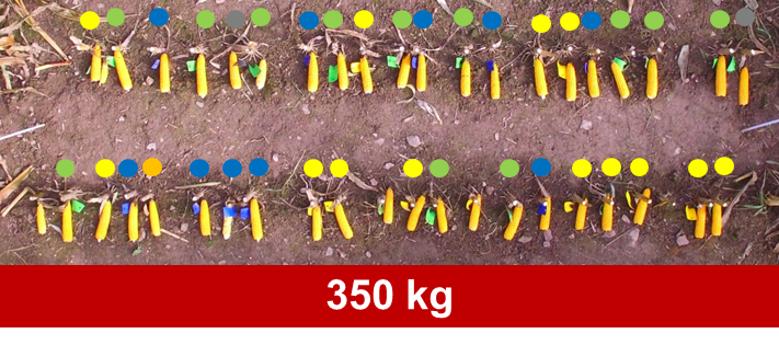 Etienneovin28's tweet photo. @HorschMaschinen @HORSCH_France 1 emerging day-1color-1card/plant
Numbers of days for 80% of plants emerged;
150kg-4days
250kg-3days
350kg-3days
#AutoForce 75kg-95kg-2days https://t.co/EPrSoy5A2T
