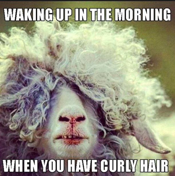 thecolourroom's tweet photo. Who can relate to this?!!

#hair #hairdressing #stockport #MondayMorning https://t.co/UZXQGTMhTW