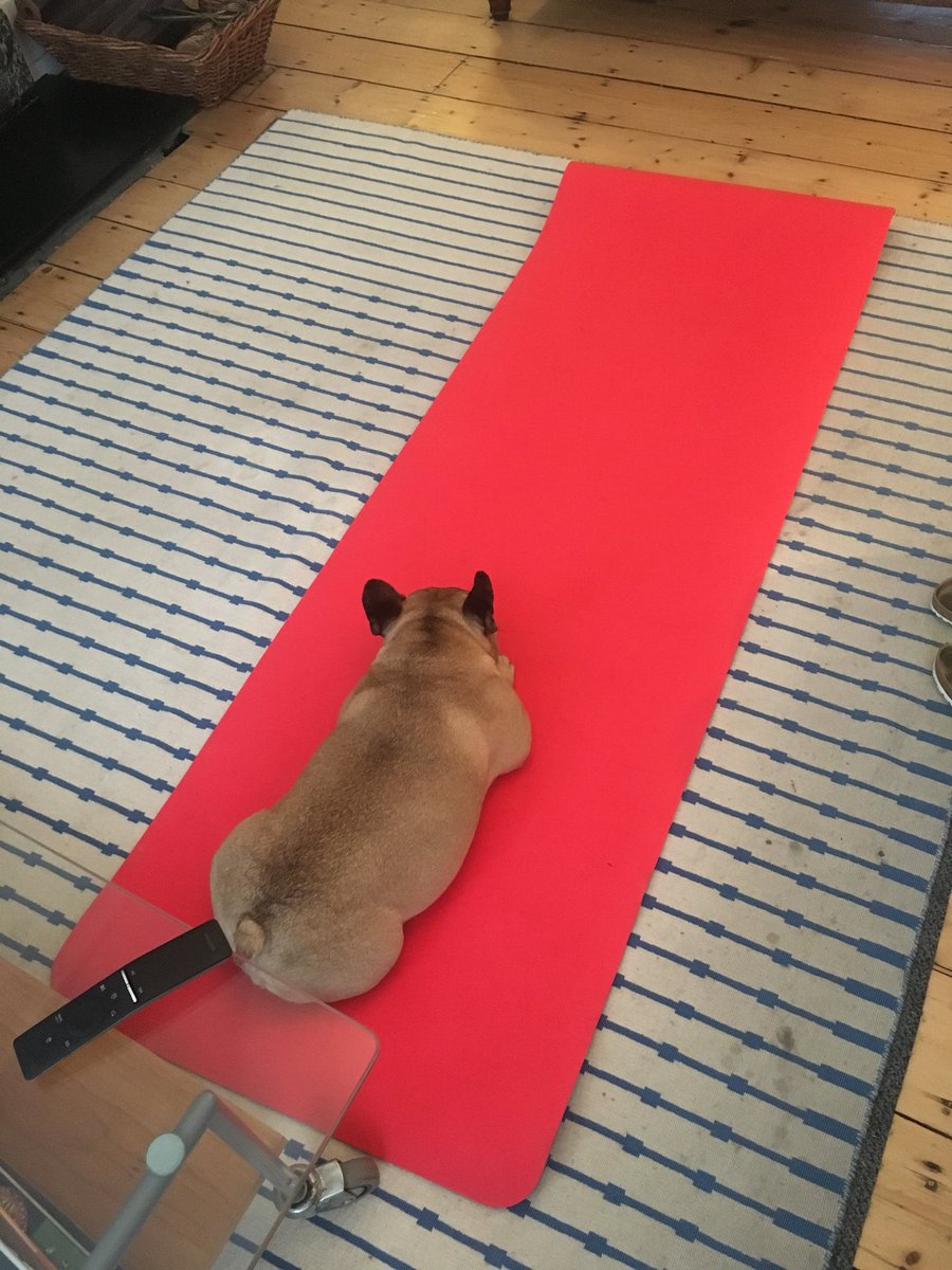 koz935's tweet photo. Wishing all my chums at the @IABUK the most fabulous #iabengage! Looks like it’s off to a blinder. Meanwhile, I *try* and do some exercise https://t.co/S4jnU3kVUi