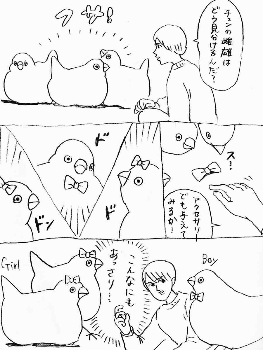 すぐわかるチュン漫画 