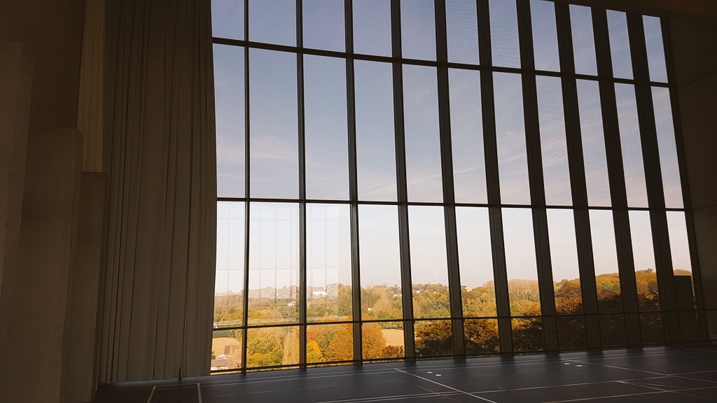 CarlotteK's tweet photo. Another wonderful day #therapytower @revaPellenberg... https://t.co/Sp5AiKhuix
