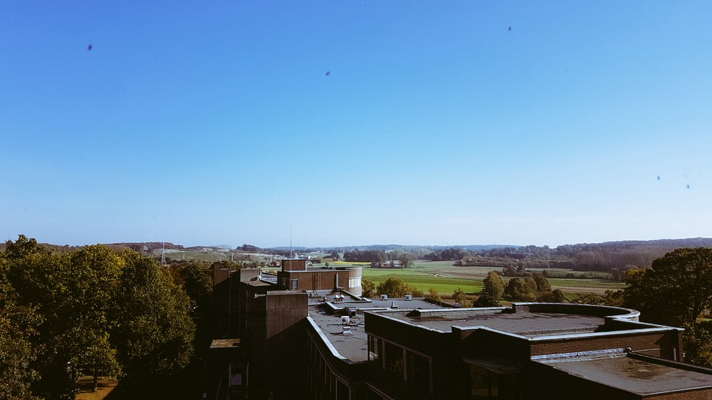 CarlotteK's tweet photo. Another wonderful day #therapytower @revaPellenberg... https://t.co/Sp5AiKhuix