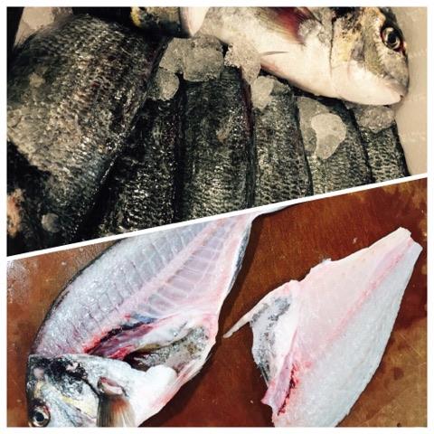 AbingerCookery's tweet photo. Today is fish day! Filleting Sea Bream this morning #fishday #learning #newskills #chaletcooks #cookerycourse #abingercookeryschool https://t.co/93RzLuq9EB
