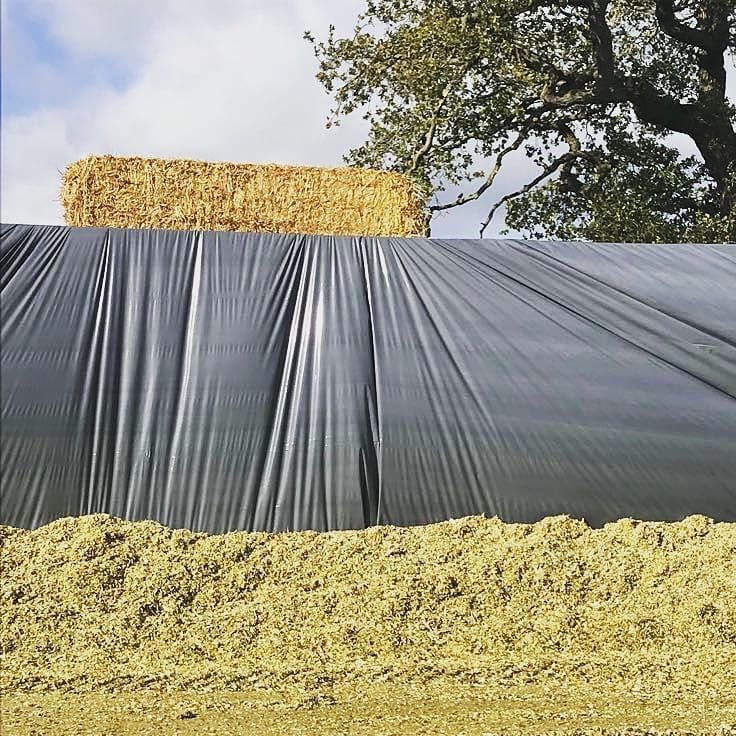 Silostop's tweet photo. Silostop Wall film in action in a farm in Chester. #wallfilm #silageprotection #silageprotectionfilm #oxygenbarrie… https://t.co/lIJ36VLwgz https://t.co/yw8GbD4ia1