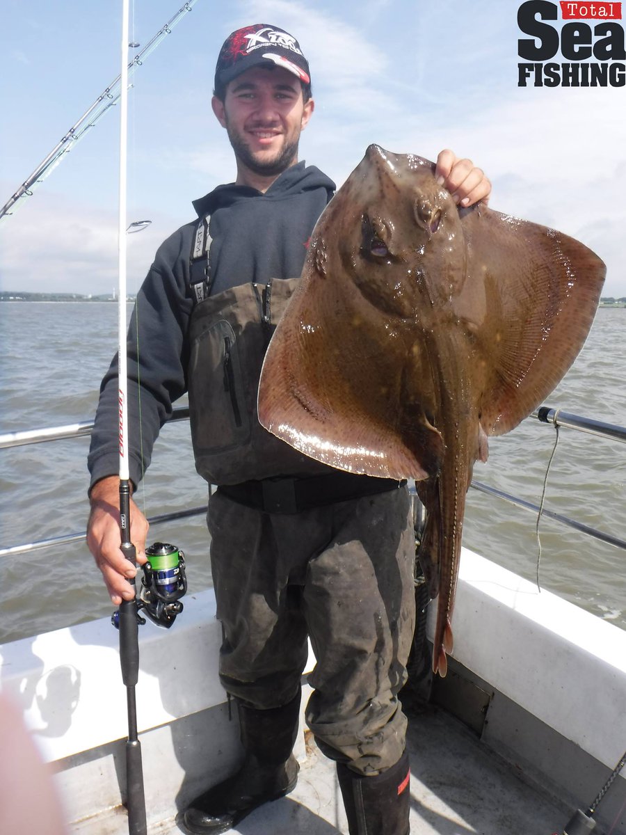 Total Sea Fishing tweet media