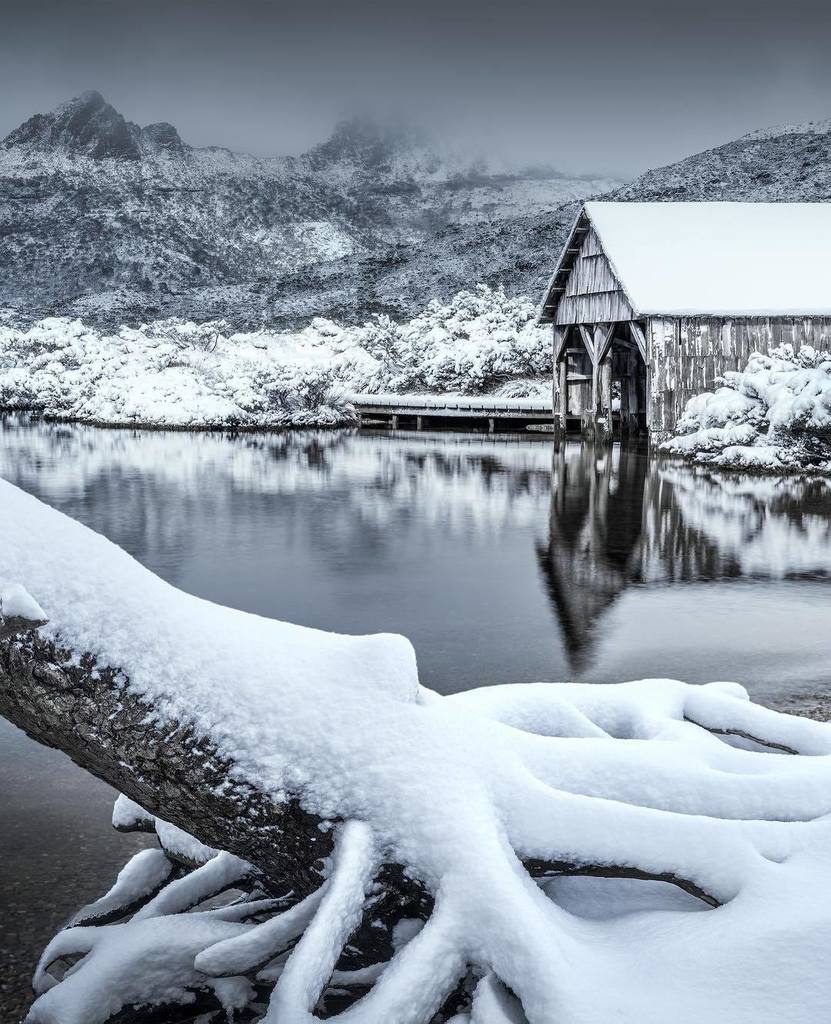 Chrystal__H's tweet photo. This moment I finally got to experience. A gorgeous dense winter wonderland at the shore of Dove Lake.

Was so gla… https://t.co/KJjwLUtpWO https://t.co/cA2mgRspJm