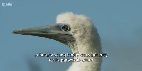 CauseWereGuys's tweet photo. When your parents go out food shopping https://t.co/Ud8OO95G7C