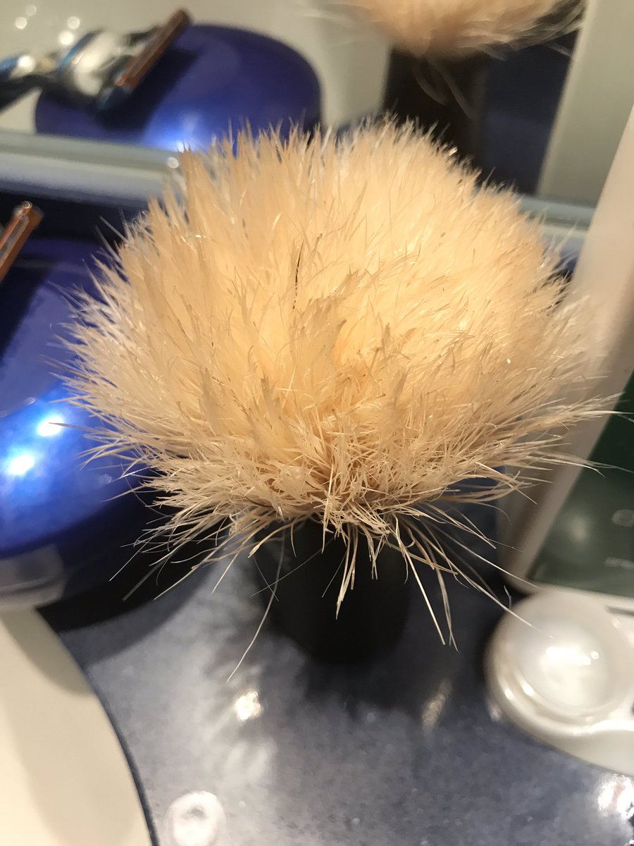 auldgrump's tweet photo. My shaving brush appears to have given itself a Boris Johnson makeover https://t.co/5QBZBtq1dy