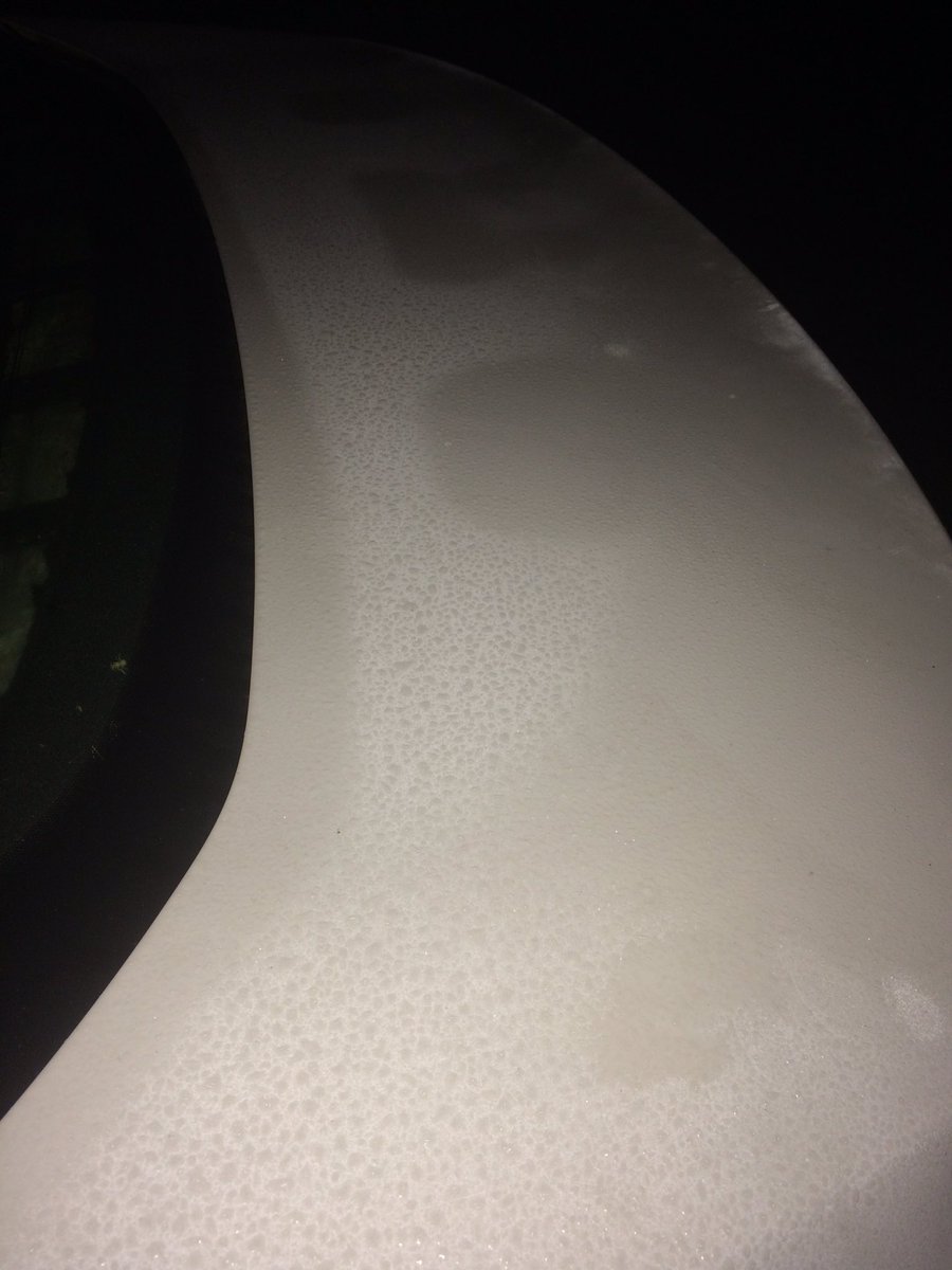bailey_househld's tweet photo. A little frost in eastern Lunenburg @AndrewNBC12 https://t.co/Mao1vvDL8V