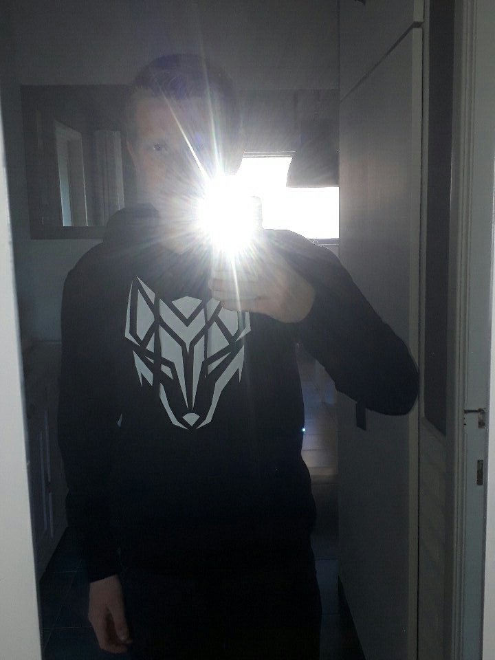 KobePauwels's tweet photo. Nieuwe trui van  @YaraskyGaming 👌 https://t.co/dBsVVX82Oh